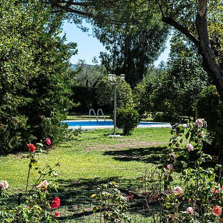 Terre Etrusche Guest House-Terme -3 Minuti Da Viterbo Centro Экстерьер фото